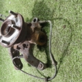 Цапфа передня ліва Nissan X-Trail T30 (2001-2007) 400158H300