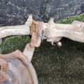 Цапфа передня права Nissan X-Trail T30 (2001-2007) 400148H300