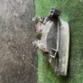 Фара права (дефект кріплення) Nissan X-Trail T30 (2001-2007) 260108H925