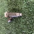 Форсунка Nissan X-Trail T30 (2001-2007) 166008H800