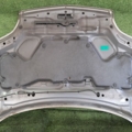 Капот з дефектами  X-Trail T30 (2000-2007) Nissan X-Trail T30 (2001-2007) F51008H3MM