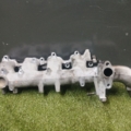 Колектор впускний Nissan X-Trail T30 (2001-2007) 140018H810
