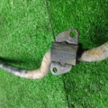 Передній стабілізатор Nissan X-Trail T30 (2001-2007) 546118H316