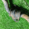 Передній стабілізатор Nissan X-Trail T30 (2001-2007) 546118H316
