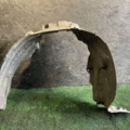 Пілкрильник передній правий Nissan X-Trail T30 (2001-2007) 638408H900