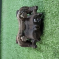 Спорт тормозний передній лівий Nissan X-Trail T30 (2001-2007) 410118H300