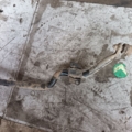 Стабілізатор перед Nissan X-Trail T30 (2001-2007) 546118H316