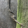 Стабілізатор передній Nissan X-Trail T30 (2001-2007) 546118H316