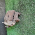 Супорт гальмівний передній лівий Nissan X-Trail T30 (2001-2007) 410118H300