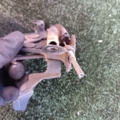 Замок капота Nissan X-Trail T30 (2001-2007) 656018H900