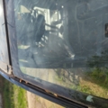 Скло лобове Nissan X-Trail T31 (2007-2013) 72700JG01D