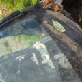 Скло лобове Nissan X-Trail T31 (2007-2013) 72700JG01D