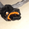 DELPHI ЗОНДА ЛЯМБДА OPEL 1.2 1.4 ES20315-12B1 Opel Corsa C (2000-2006) 0258006171