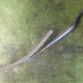 Повідок двірника правий Opel Vectra C (2002-2008) 6272504