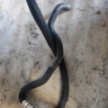 Renault Kangoo I (1997-2009) 8200048320