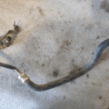 Renault Kangoo I (1997-2009) 8200170448