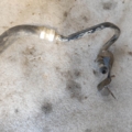 Renault Kangoo I (1997-2009) 8200170448