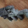 Коллектор впускной Renault Laguna II (2001-2007) 8200145096