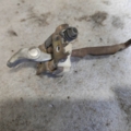 Обмежувач дверей Renault Laguna II (2001-2007) 8200385349