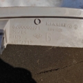 Renault Laguna II (2001-2007) 8200002893