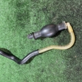 Насос підкачки Renault Megane III (2008-2016) 164460011R