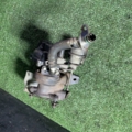 Турбіна 1.5 dci Renault Megane III (2008-2016) 54391014760