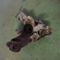 Корпус підшипника маточини лів. Skoda Octavia I (1996-2010) 1J0407255AG