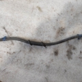 Патрубок М18 Volkswagen Golf III (1991-1999) 1H0121447M
