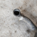 Volkswagen Golf III (1991-1999) 357121058J