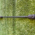 Амортизатор капота Volkswagen Passat B6 (2005-2010) 3C0823359A
