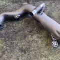 Патрубок інтеркулера Volkswagen Passat B6 (2005-2010) 1K0129654AJ