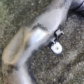 Патрубок інтеркулера Volkswagen Passat B6 (2005-2010) 1K0129654AJ