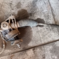 Рульова рейка  Volkswagen Passat B6 (2005-2010) Volkswagen Passat B6 (2005-2010) 1K1423055M Volkswagen Passat B6 (2005-2010) 1K1423055M
