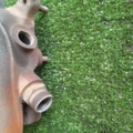 Випускний колектор 1.6 Volkswagen Passat B6 (2005-2010) 06A253033P