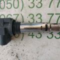 котушка запалювання Volkswagen Polo IV (2002-2009) 0040102030