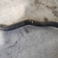 Volkswagen Polo IV (2002-2009) 5Z01220732XK