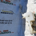 Бачок 1 Volkswagen Sharan I (1995-2010) 7M3955453