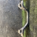 Кронштейн опори двигуна Volkswagen Touareg I (2002-2010) 7L6199207