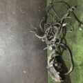 Проводка Volkswagen Touareg I (2002-2010) 7L6971204