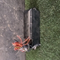 Блок запобіжників Volkswagen Touran I (2003-2010) 1T1970039