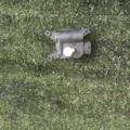 Електропривід заслонки пічки Volkswagen Touran I (2003-2010) 1K0907511