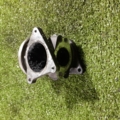Клапан egr 1.9tdi Volkswagen Touran I (2003-2010) 038129637B