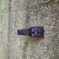 Кнопка відкривання лючка баку Volkswagen Touran I (2003-2010) 1T0959551