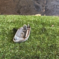 Кришка омивача фар Volkswagen Touran I (2003-2010) 1T0955109