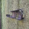 Накладка ручки Volkswagen Touran I (2003-2010) 1T0837197A