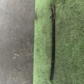 Направляюча скла Volkswagen Touran I (2003-2010) 1T0837471B9B9