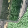 Скло дверки заднє праве Volkswagen Touran I (2003-2010) 43R001108