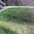 Скло задніх лівих дверей Volkswagen Touran I (2003-2010) 1T0845025F