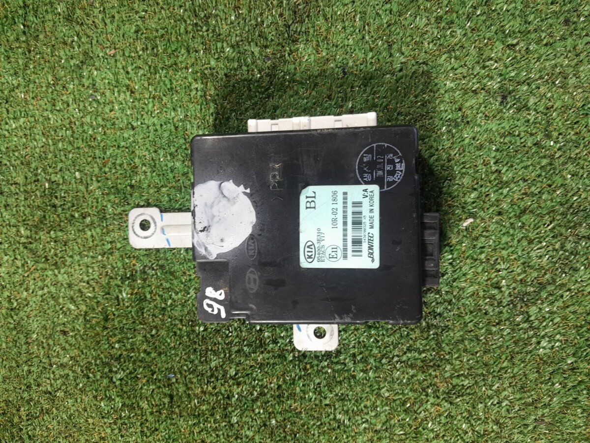 Блок управления светом KIA Sorento JC (2002-2009) 954003E310