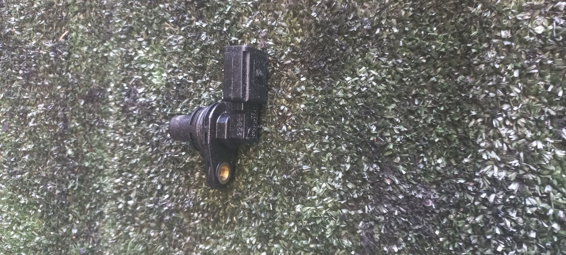 Датчик положення розподільного валу Volkswagen Golf IV (1997-2006) 036907601A